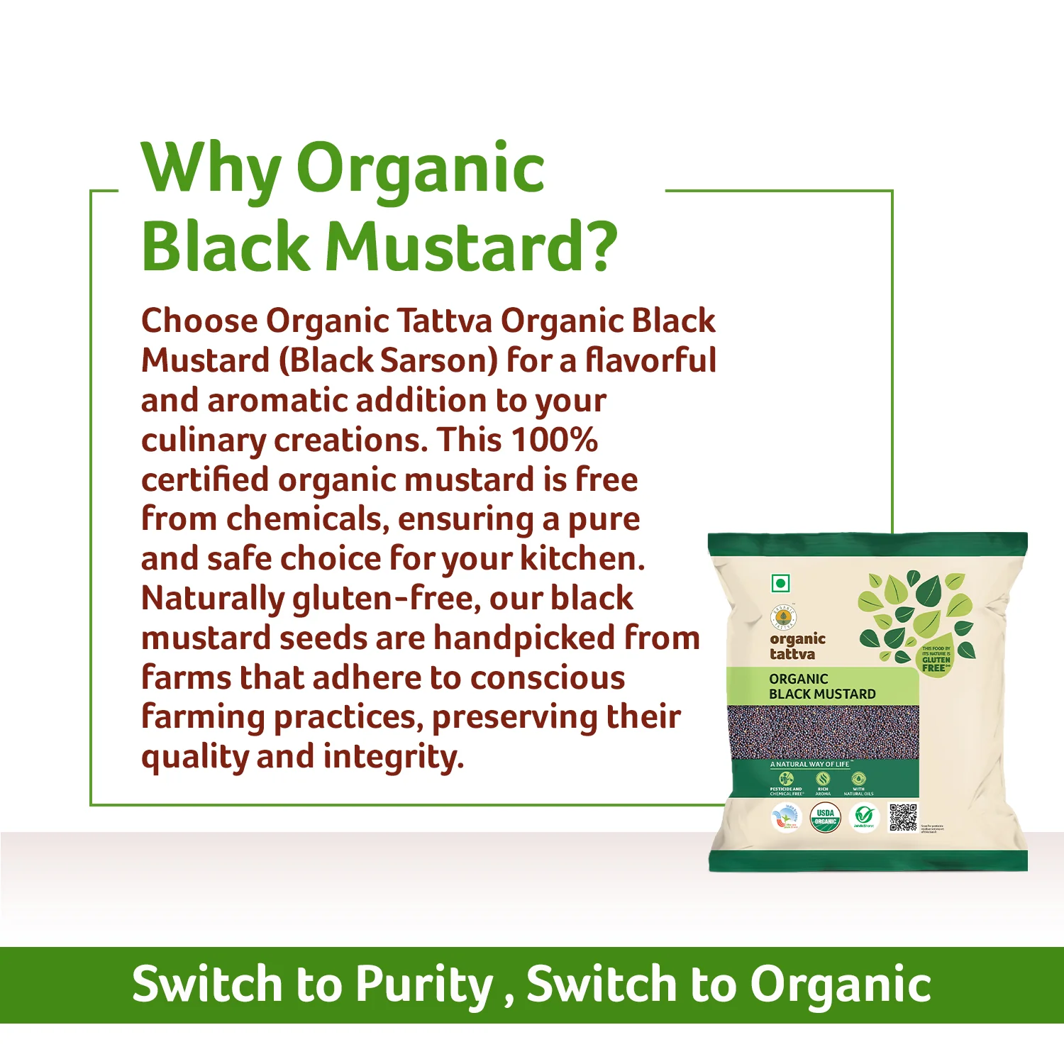 Organic Black Mustard - Image 5