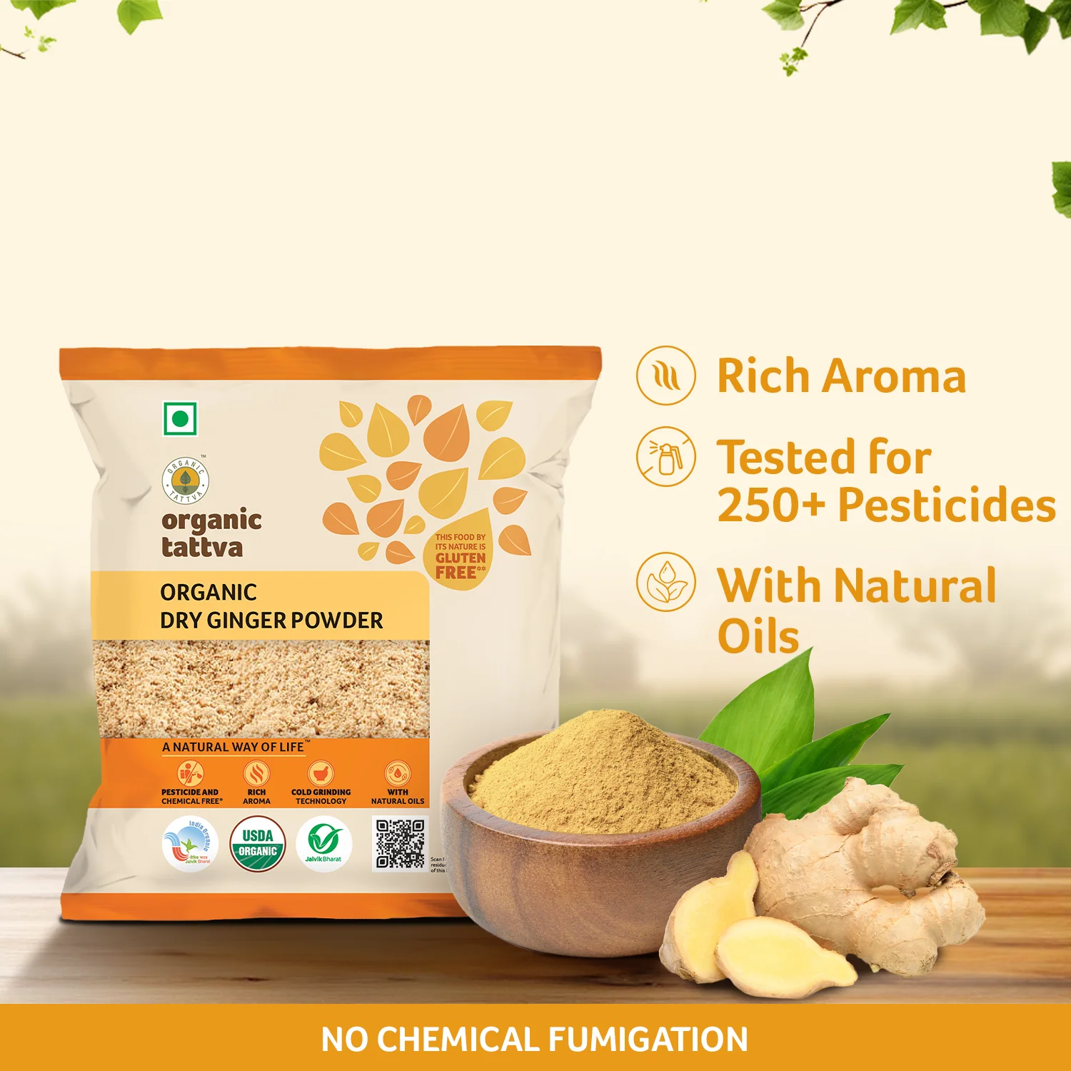 Organic Dry Ginger Powder