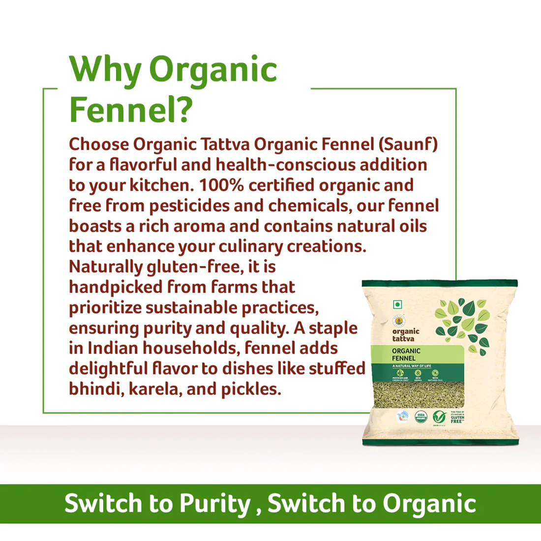 Organic Fennel - Image 5