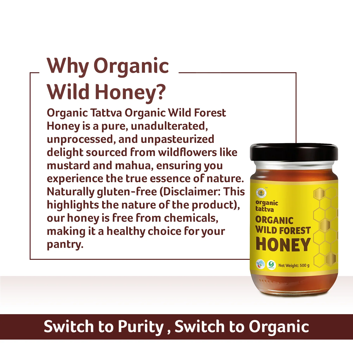 Organic Wild Forest Honey - Image 10