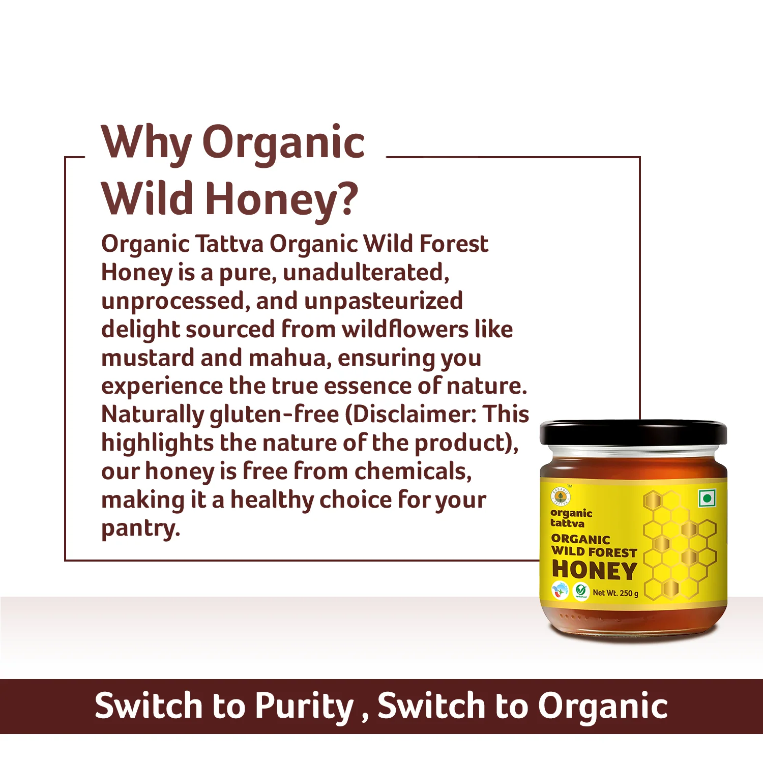 Organic Wild Forest Honey - Image 9